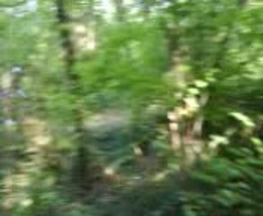 VTT