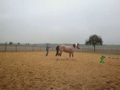 Cercles en liberté aux 3 allures