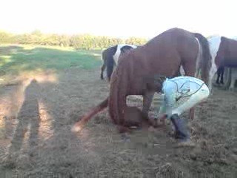 Odysée Révérance 4