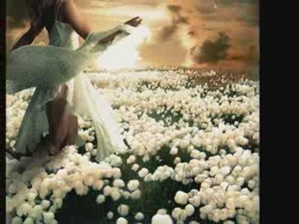 Dogonic Wiatr - Mariusz Kalaga