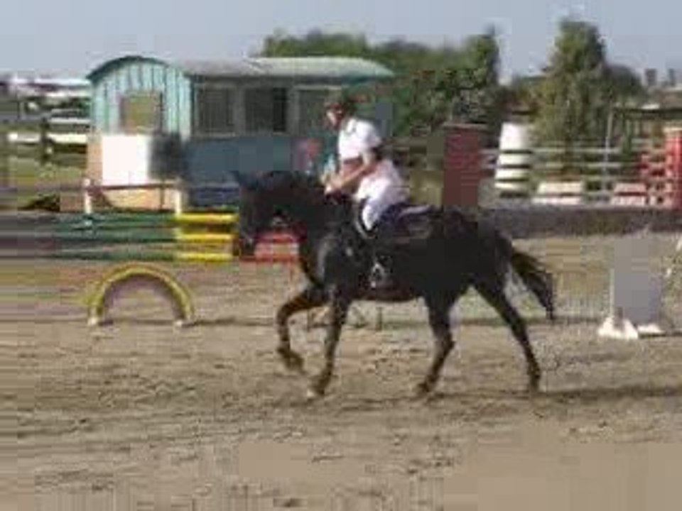 Quina 07-08-09