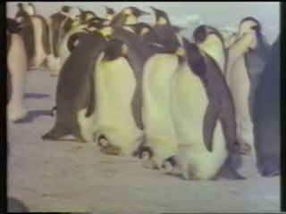 "Someday we will all be together"