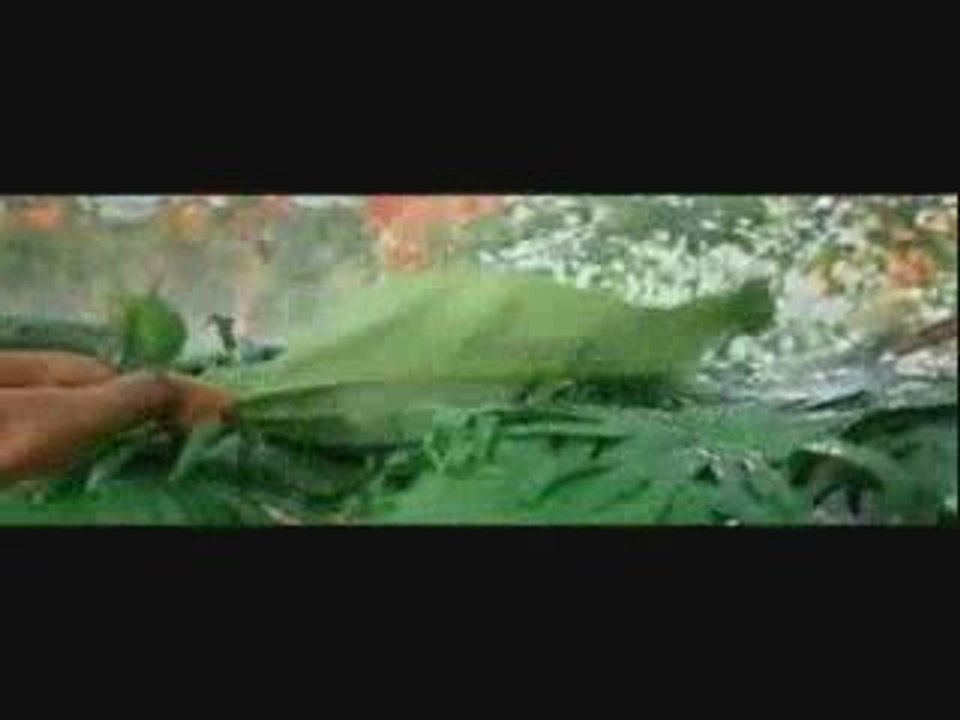 Haan Main Jitni Martaba (All The Best)