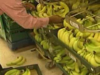 Business calls for a 'greening' of consumer behaviour