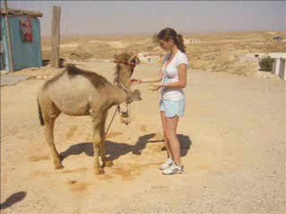 2007 Vacances Tunisie