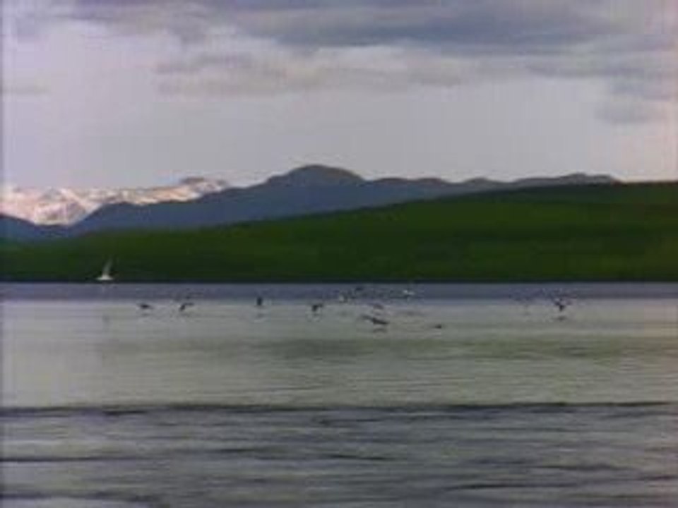 lac
