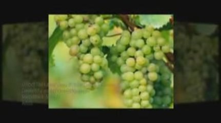 Unlock The Latest Deep Wrinkle Cream Technology