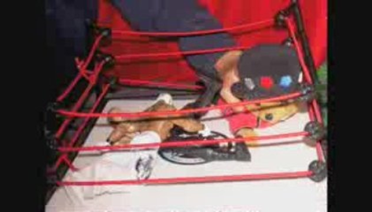 Rey Mysterio vs Undertaker