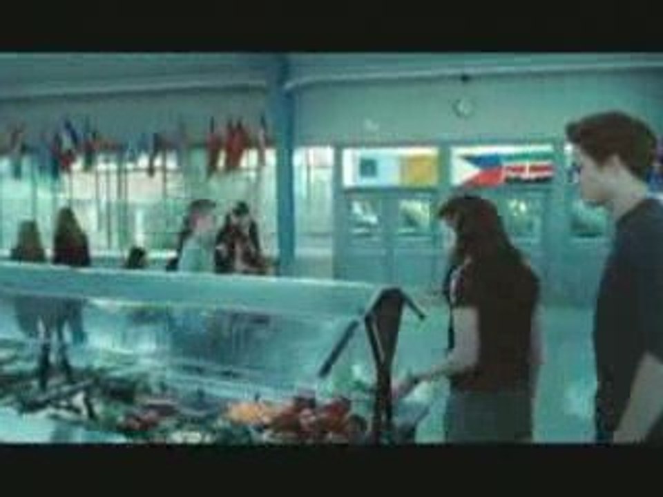 How Have The Twilight Stars Lives Changed