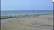 L'île d'Oléron, ses plages et ses bateaux