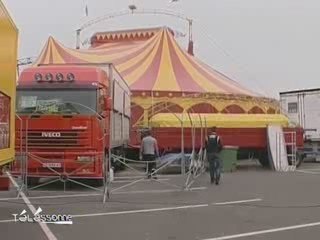 Les lionnes du cirque Zavatta se font la belle (Essonne)