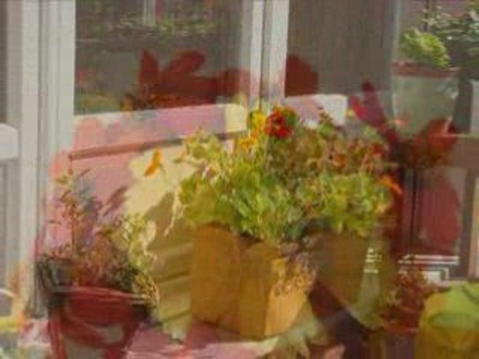 Balcon d'automne 2009