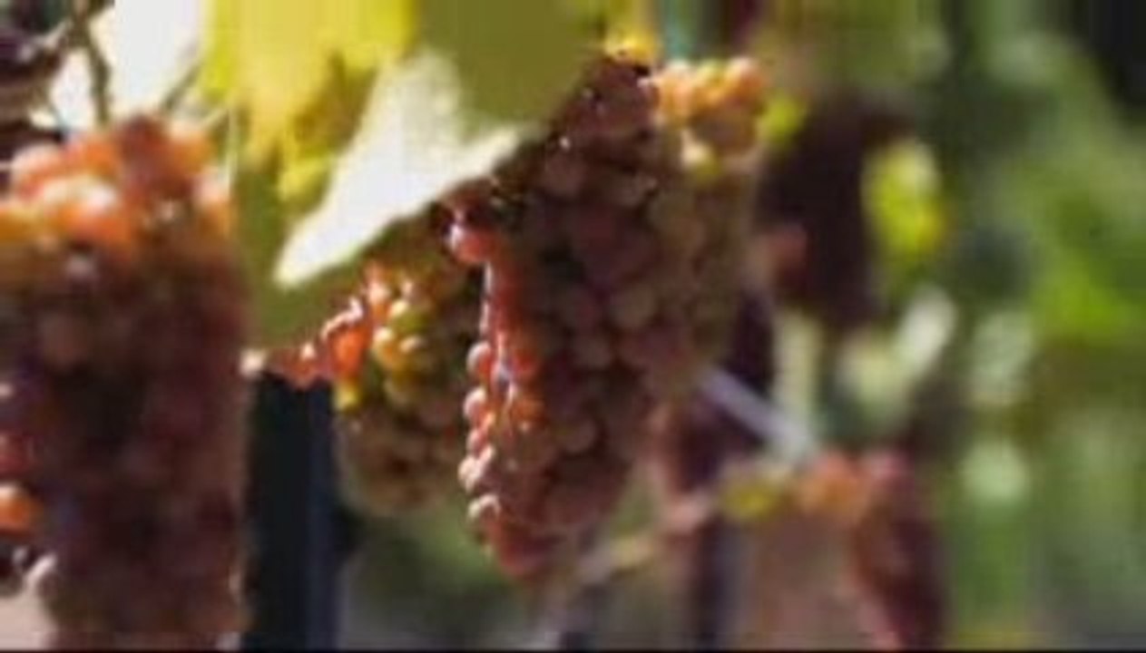 Skin & Joint Juice Supplement Product Documentary