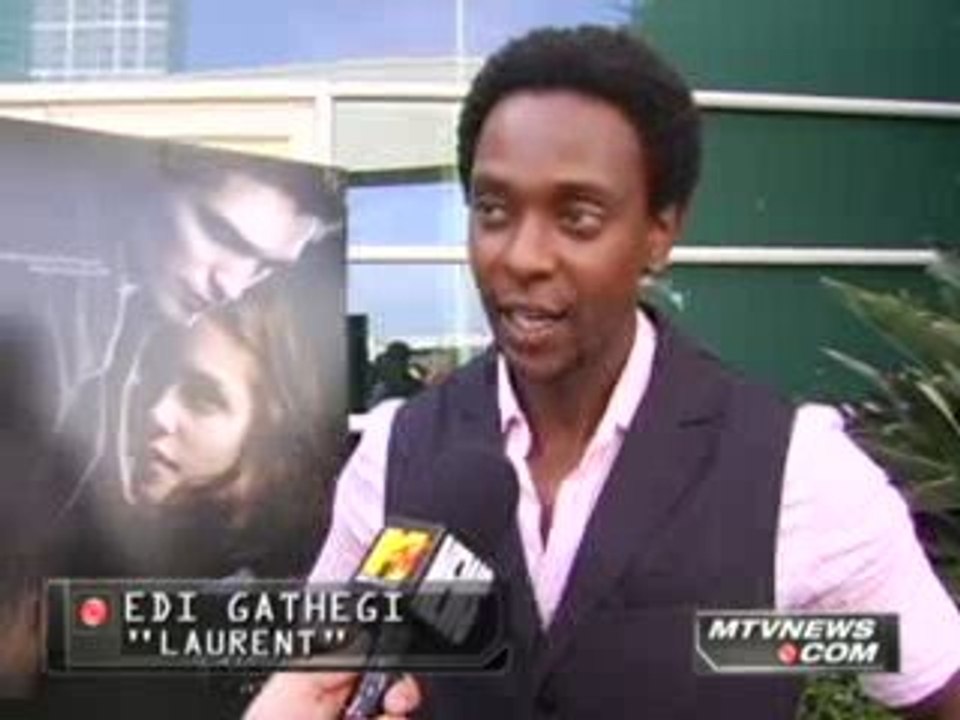 Looking Back On A Year Of Twilight  Mania 11.20.08