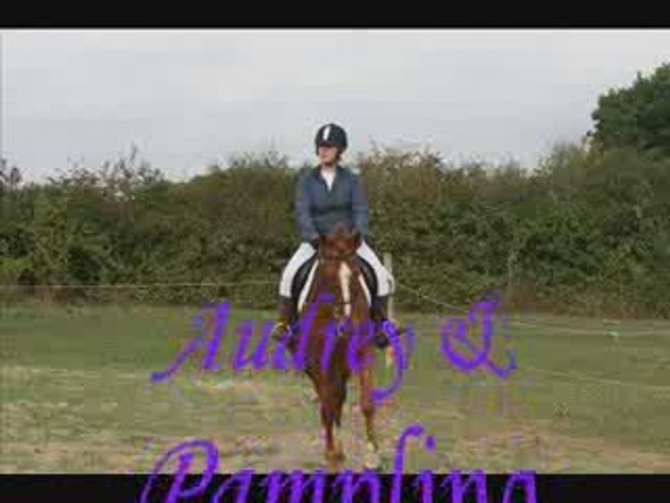 Dressage 11 Octobre 2009