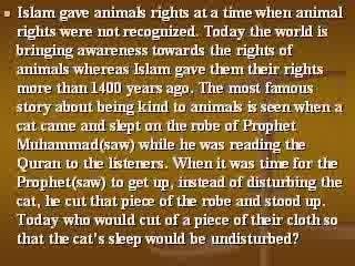Animals Rights in Islam