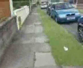 Comedy Couple - Brandons Voice Breaks For A Day