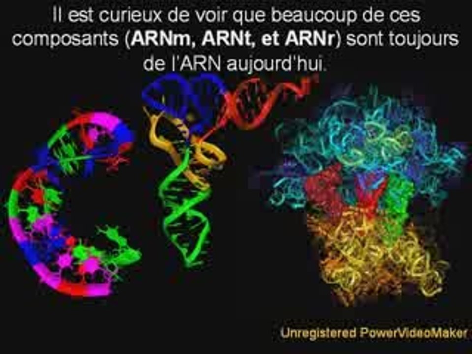 L'Origine du Code Génétique