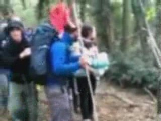 News flash - first video in from Great Climate Swoop