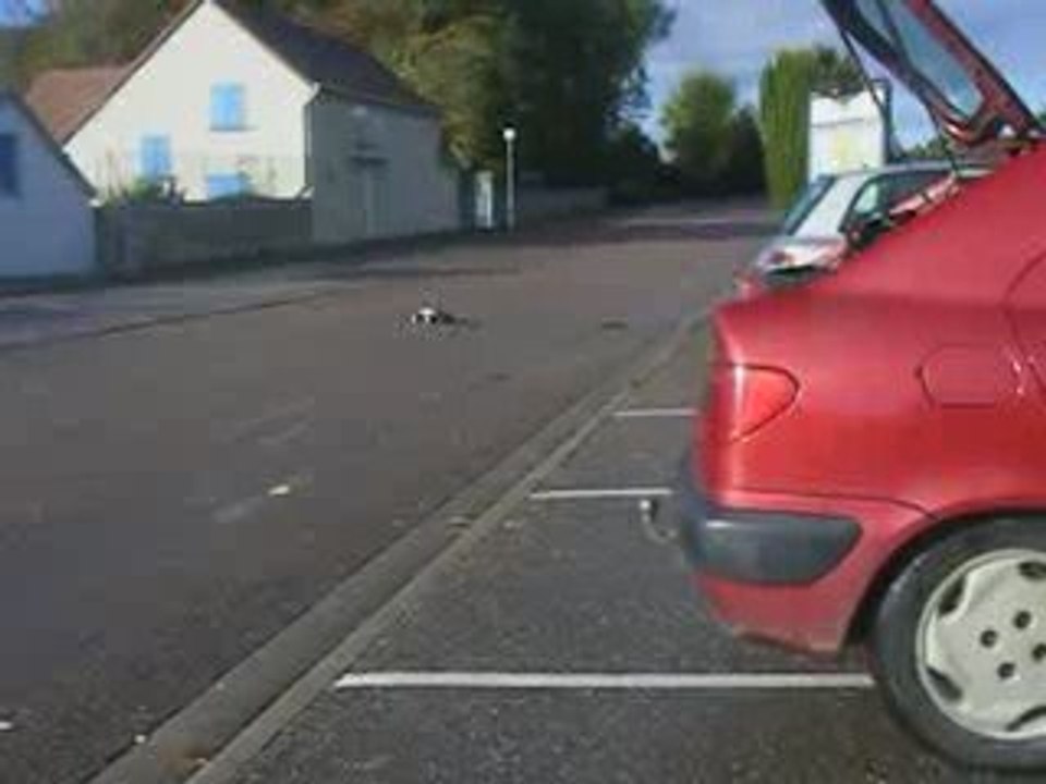 my traxxas rustler vxl