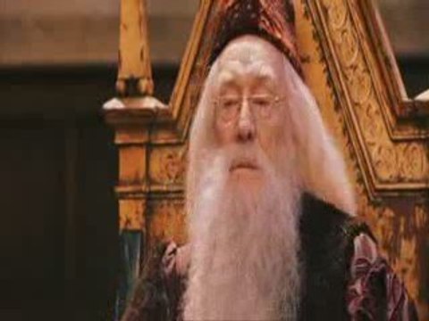 Choixpeau harry potter