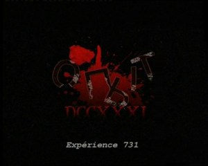 experience 731