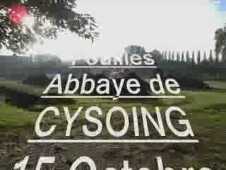 Fouilles Cysoing 2009