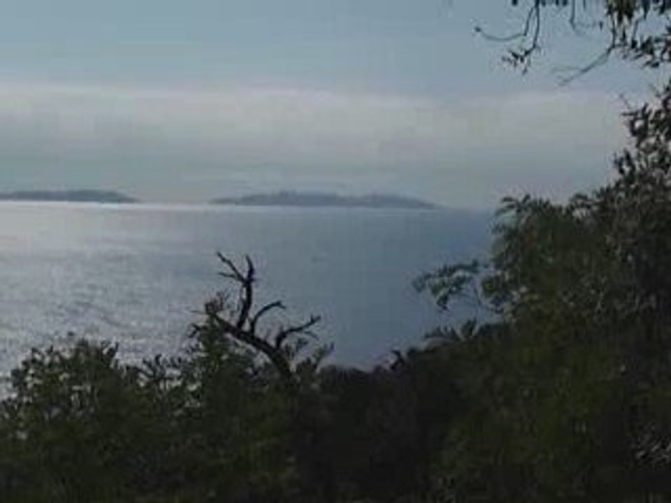 Vue depuis le Rayol canadel