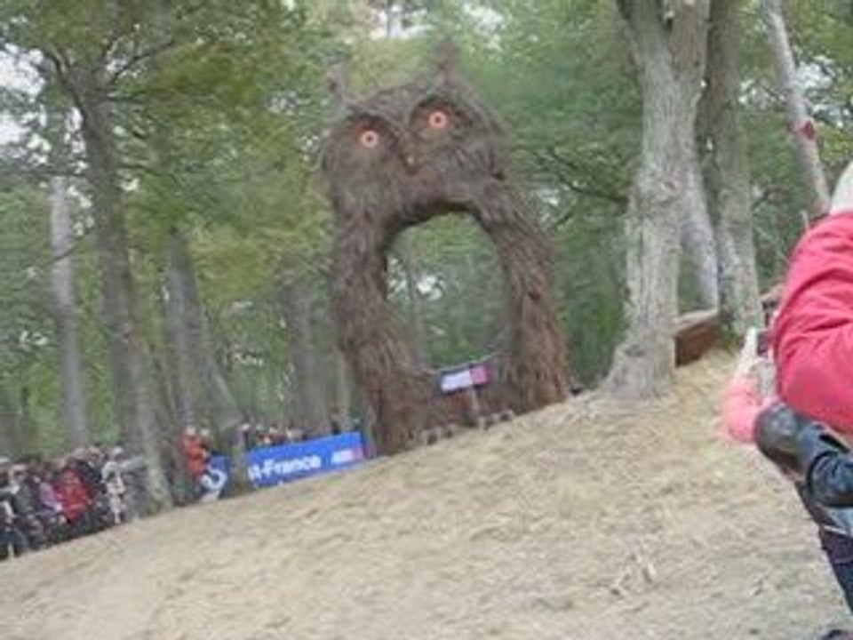 Obstacle "Le hiboux"