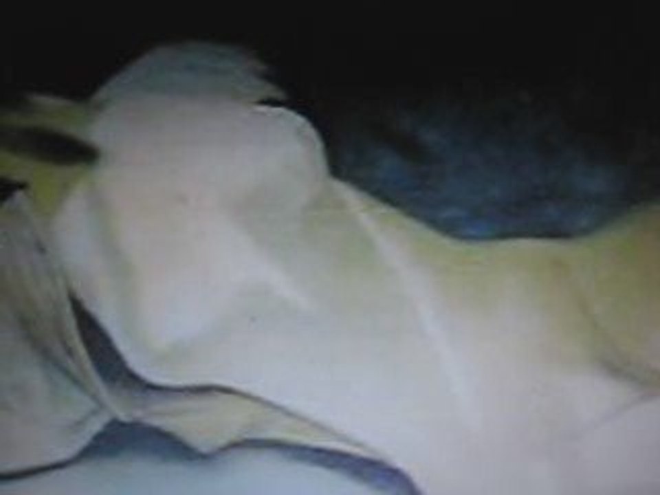 Alain Royer " Couleurs sentimentales "