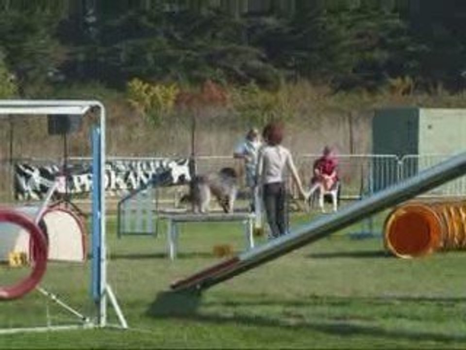 City 5eme Concours Agility