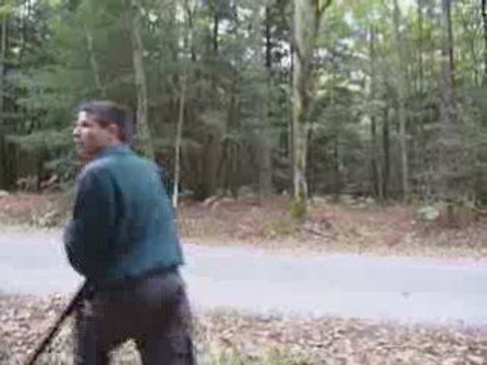 Daguet 17 10 2009 bois d Aché ECOUVES TECKELS POIL DUR