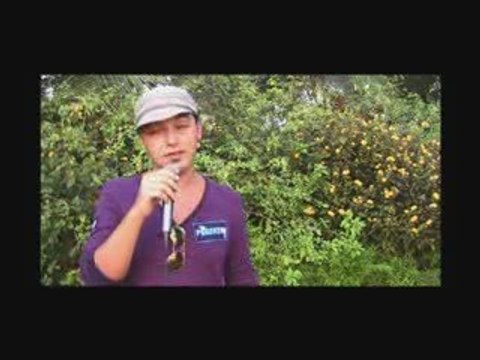 WPT Marrakech day 2: Mickael Sebban au 1er break