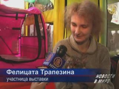 Как выбрать котёнка?