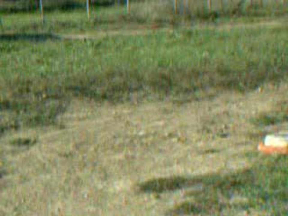 DSCF0013