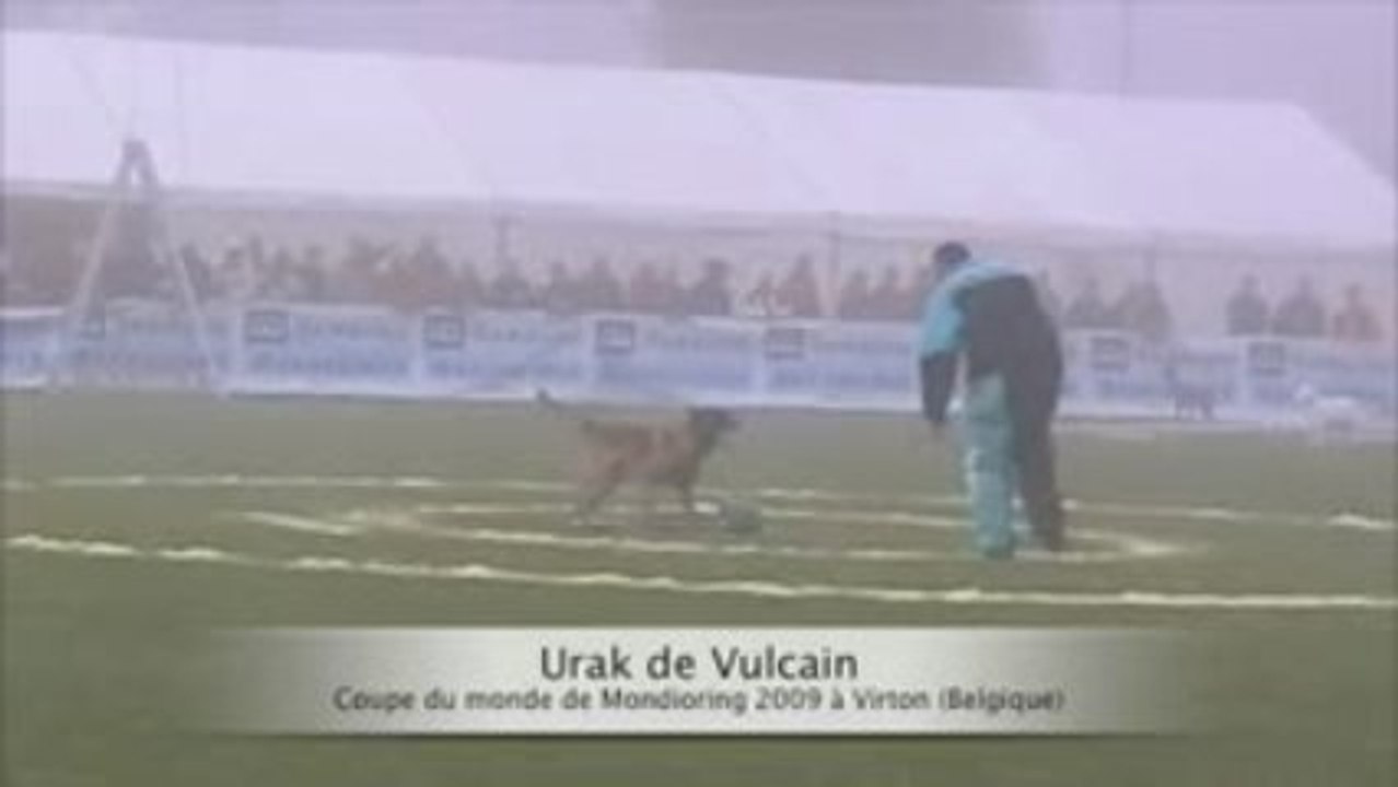 Garde d'objet - Urak de Vulcain