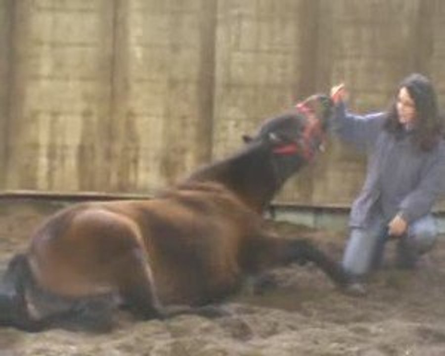 octobre 2009: coucher de Zelda