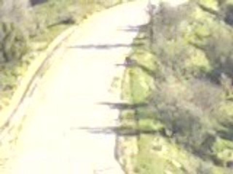 efehunter35- izmir karaburun domuz avindan süper vurulus