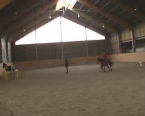 demo dudelange