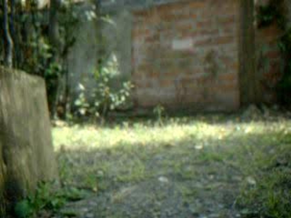 DSCF0001