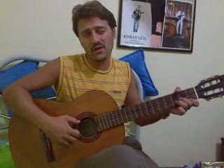 koray gül-mimoza çiçeği