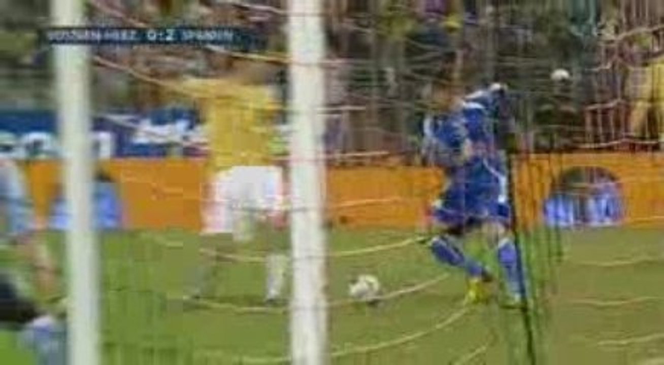 Bosnie 2:5 Espagne [Qualif. World Cup 2010]