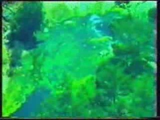 Mehmet Bozdoğan Ağlama Yar