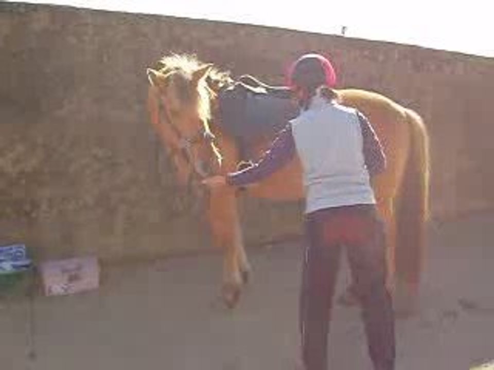 carotte magique