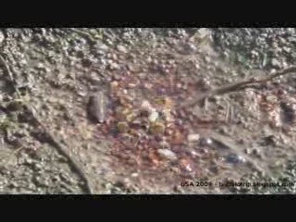 Geysers de Yellowstone