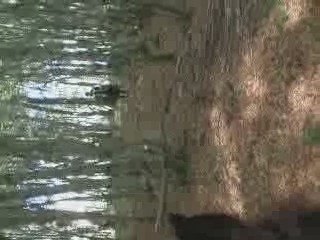trec dan les bois =)