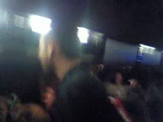 les ananas de la belle nana!!!