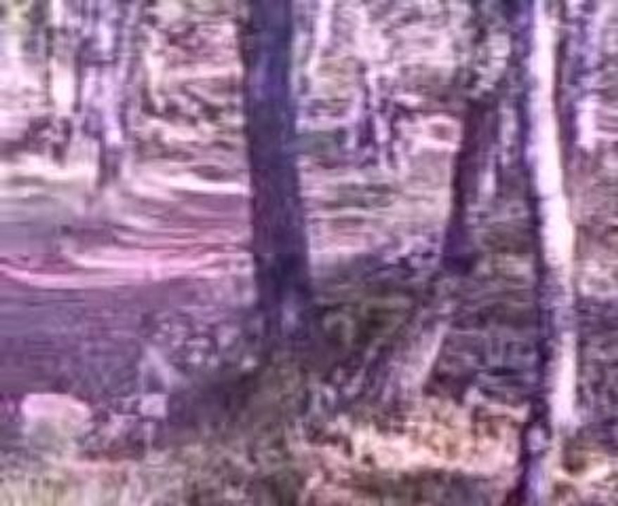 boitage en pitbike
