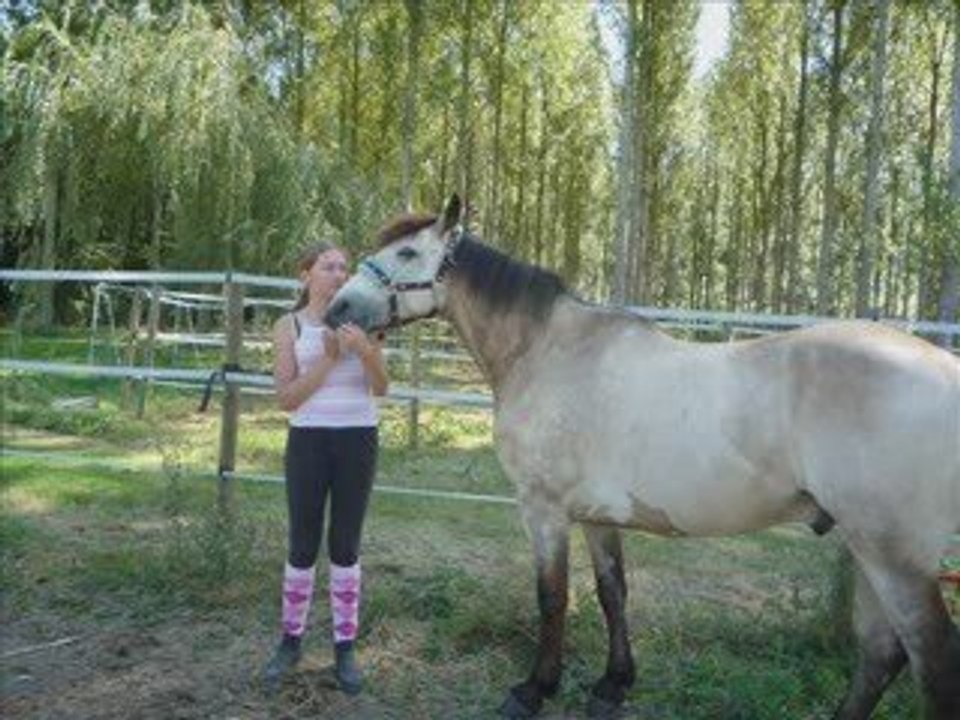 Nicky du Moulin