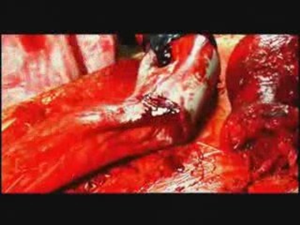 Bestial Devastation - Splatter Mania